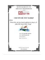 (Tiểu Luận) Phát Triển Văn Hóa Doanh Nghiệp Tại Công Ty Cổphần Đất Xanh Miền Trung.pdf