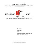 Hồ sơ Báo cáo thực tập Kiểm sát viên (phần kiến thức chung)