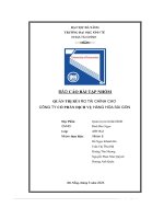 (Tiểu Luận) Quản Trị Rủi Ro Tài Chính Cho  Công Ty Cổ Phần Dịch Vụ Hàng Hóa Sài Gòn.pdf