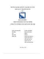 (Tiểu Luận) Báo Cáo Nhóm Phân Tích Báo Cáo Tài Chính Công Ty Cổ Phần Xây Dựng Số 1 Hà Nội.pdf