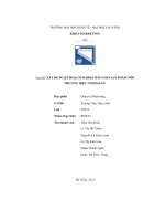 tiểu luận chủ đề xây dựng kế hoạch marketing cho sản phẩm mớithương hiệu ninomaxx