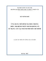 Luận án tiến sĩ Công tác xã hội: Ứng dụng mô hình Matrix trong điều trị bệnh nhân methadone có sử dụng ATS tại thành phố Hồ Chí Minh