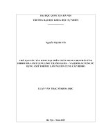 Luận văn thạc sĩ khoa học: Chế tạo xúc tác kim loại trên chất mang cho phản ứng Hidro hóa axit levulinic thành gama - valerolactone sử dụng axit formic làm nguồn cung cấp hidro