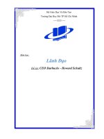 Tiểu luận - lãnh đạo - đề tài -  Phân tích nhà lãnh đạo lý tưởng – Ceo Howard Schultz