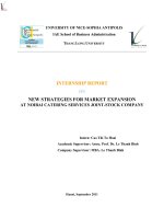 new strategies for market expansion at noibai catering services joint stock company