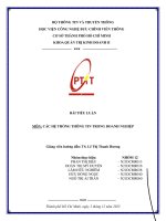 TIỂU LUẬN MÔN CÁC HỆ THỐNG THÔNG TIN TRONG DOANH NGHIỆP