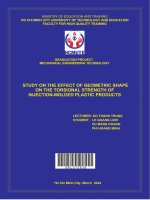 study on the effect of geometric shape on the torsional strength of injection molded plastic products