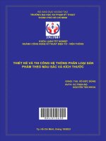 thiết kế và thi công hệ thống phân loại sản phẩm theo màu sắc và kích thước