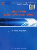 giáo trình kiểm toán hoạt động iuh