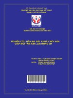 nghiên cứu hàn ma sát khuấy mối hàn giáp mối tấm kim loại mỏng 3mm