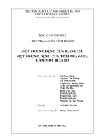 Báo cáo giải tích