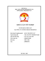 KLTN Tuyển dụng nhân lực tại CÔng ty Cổ phần Diligo Holdings