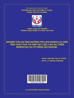 nghiên cứu sự ảnh hưởng phụ gia nanoclay đến tính chất của tổ hợp vật liệu cao su thiên nhiên cao su styrene butadiene