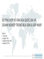 [ Slide Thuyết Trình ] SỰ PHÙ HỢP VỀ VĂN HÓA QUỐC GIA VÀ DOANH NGHIỆP TRONG MUA BÁN & SÁP NHẬP