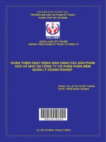 hoàn thiện hoạt động bán hàng các sản phẩm vừa và nhỏ tại công ty cổ phần phần mềm quản lý doanh nghiệp
