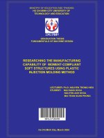 researching the manufacturing capability of moment compliant soft structures using plastic injection molding method