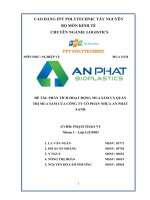 PHÂN TÍCH HOẠT ĐỘNG MUA SẮM VÀ QUẢN TRỊ MUA SẮM CỦA CÔNG TY CỔ PHẦN NHỰA AN PHÁT XANH