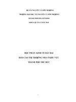 Báo cáo cuối kỳ chủ đề: 