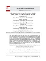 TÁC ĐỘNG CỦA CHÍNH SÁCH TIỀN TỆ ĐẾN BONG BÓNG BẤT ĐỘNG SẢN TẠI HÀ NỘI