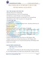 Bài giảng quản trị rủi ro trong ngân hàng bf25  Đại học mở hà nội