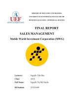 final report sales management mobile world investment corporation mwg