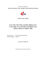 các yếu tố tăng cường động lực làm việc của người lao động tại tổng công ty sông thu