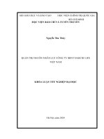 Quản trị nguồn nhân lực công ty daiichi life vn