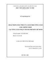 (Luận án tiến sĩ) Hoạt Động Bảo Trợ Của Giáo Hội Công Giáo Cho Nhóm Nmđt Tại Tổng Giáo Phận Thành Phố Hồ Chí Minh