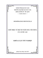 GIỚI THIỆU VỀ MỘT SỐ NGÔI CHÙA NỔI TIẾNG CỦA NƯỚC LÀO