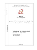 kế toán bán hàng và xác định kết quả kinh doanh của công ty cổ phần đầu tư sản xuất và thương mại tiến nhàn