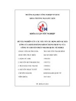 nghiên cứu các yếu tố tác động đến sự hài lòng của khách hàng trong việc sử dụng dịch vụ của công ty chuyển phát nhanh quốc tế fedex