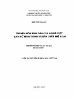 Luận án phó tiến sĩ Ngữ văn: Chuyện nôm bình dân của người Việt-Lịch sử hình thành và bản chất thể loại