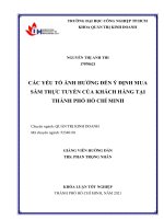 các yếu tố ảnh hưởng đến ý định mua sắm trực tuyến của khách hàng tại thành phố hồ chí minh