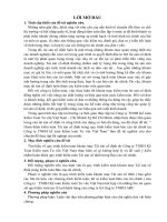 hoàn thiện quy trình kiểm toán khoản mục tscd trong kiểm toán bctc tại công ty tnhh kế toán kiểm toán tư vấn việt nam