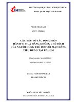 các yếu tố tác động đến hành vi mua hàng không chủ đích của người dùng trẻ đối với mặt hàng tiêu dùng tại thành phố hồ chí minh