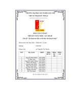 báo cáo cuối kỳ chủ đề kỹ thuật mở đầu và kết thúc bài thuyết trình