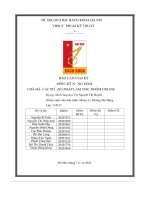 báo cáo nhóm các phương pháp làm việc nhóm online