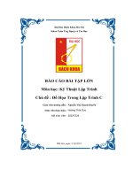 báo cáo bài tập lớn chủ đề đồ họa trong lập trình c