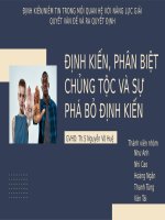 định kiến phân biệt chủng tộc và sự phá bỏ định kiến