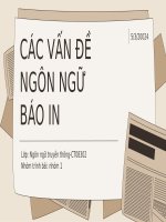 các vấn đề ngôn ngữ báo in