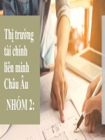 thị trường tài chính liên minh châu âu