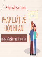 pháp luật về hôn nhân những vấn đề lý luận và thực tiễn
