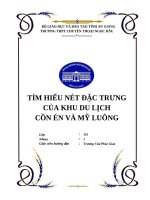 tìm hiểu nét đặc trưng của khu du lịch cồn én và mỹ luông