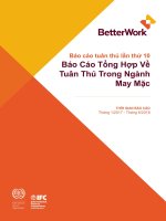 BÁO CÁO TUÂN THỦ LẦN THỨ 10 BÁO CÁO TỔNG HỢP VỀ TUÂN THỦ TRONG NGÀNH MAY MẶC