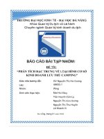 tiểu luận phân tích đặc trưng về loại hình cơ sở kinh doanh lưu trú camping