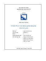 tiểu luận báo cáo cuối kì phân tích văn hóa kinh doanh của hà lan