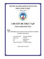 Chuyên đề thực tập: Phân tích hiệu quả sử dụng vốn tại Công ty Cổ phần Tập đoàn Hòa Phát