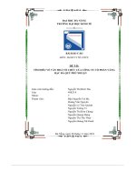 tiểu luận đề tài tìm hiểu về văn hoá tổ chức của công ty cổ phần vàngbạc đá quý phú nhuận