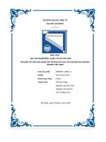 tiểu luận quản trị đa văn hóa tìm hiểu về văn hóa nước mỹ và đưa ra các lời khuyên cho doanhnghiệp việt nam