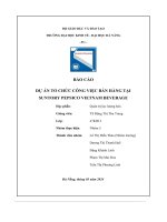 tiểu luận báo cáo dự án tổ chức công việc bán hàng tại suntory pepsico vietnam beverage